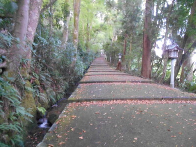 DSCN9704