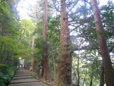 DSCN9711