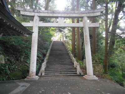 DSCN9718