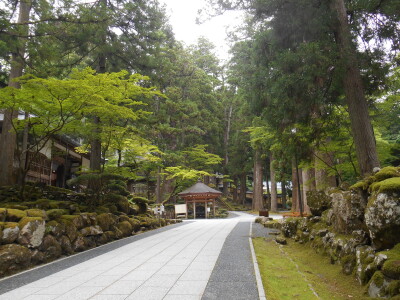 DSCN0031